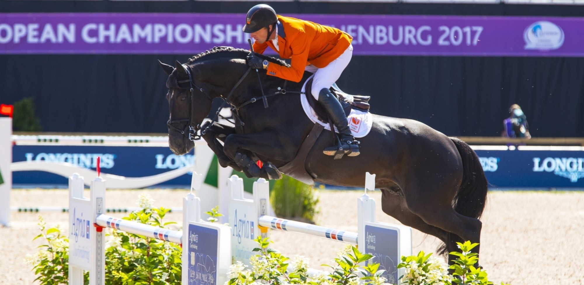 Jur Vrieling Sporthorses